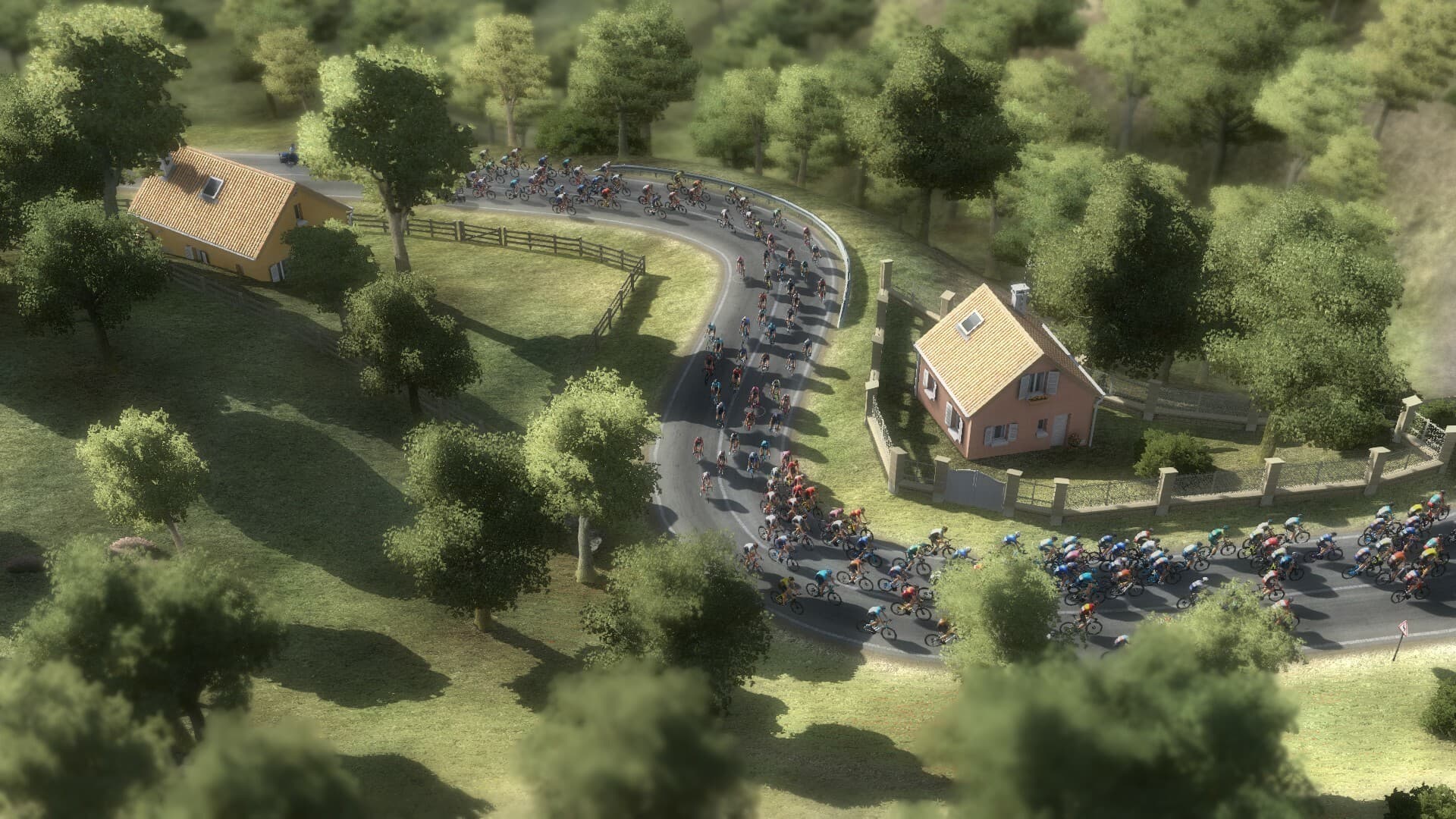 Pro Cycling Manager 2024 PC Steam Account - 4