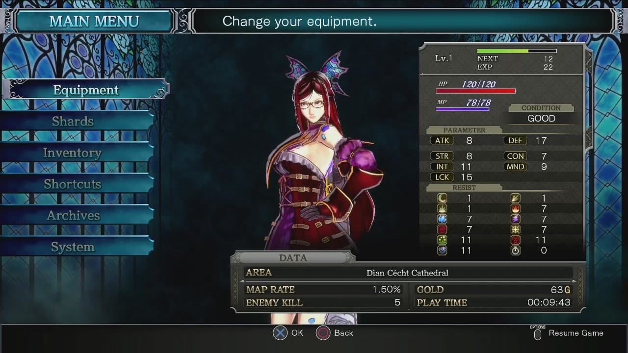 Bloodstained: Ritual of the Night PC Steam Account - 8