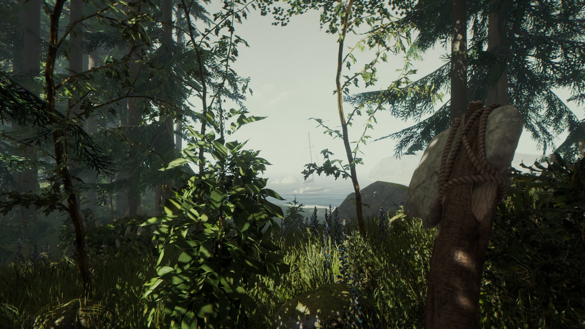The Forest - 4