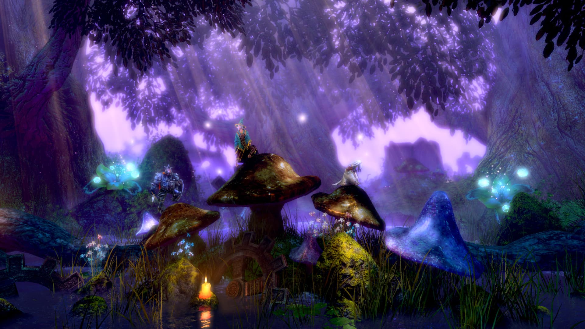 Trine Enchanted Edition Steam CD Key - 2
