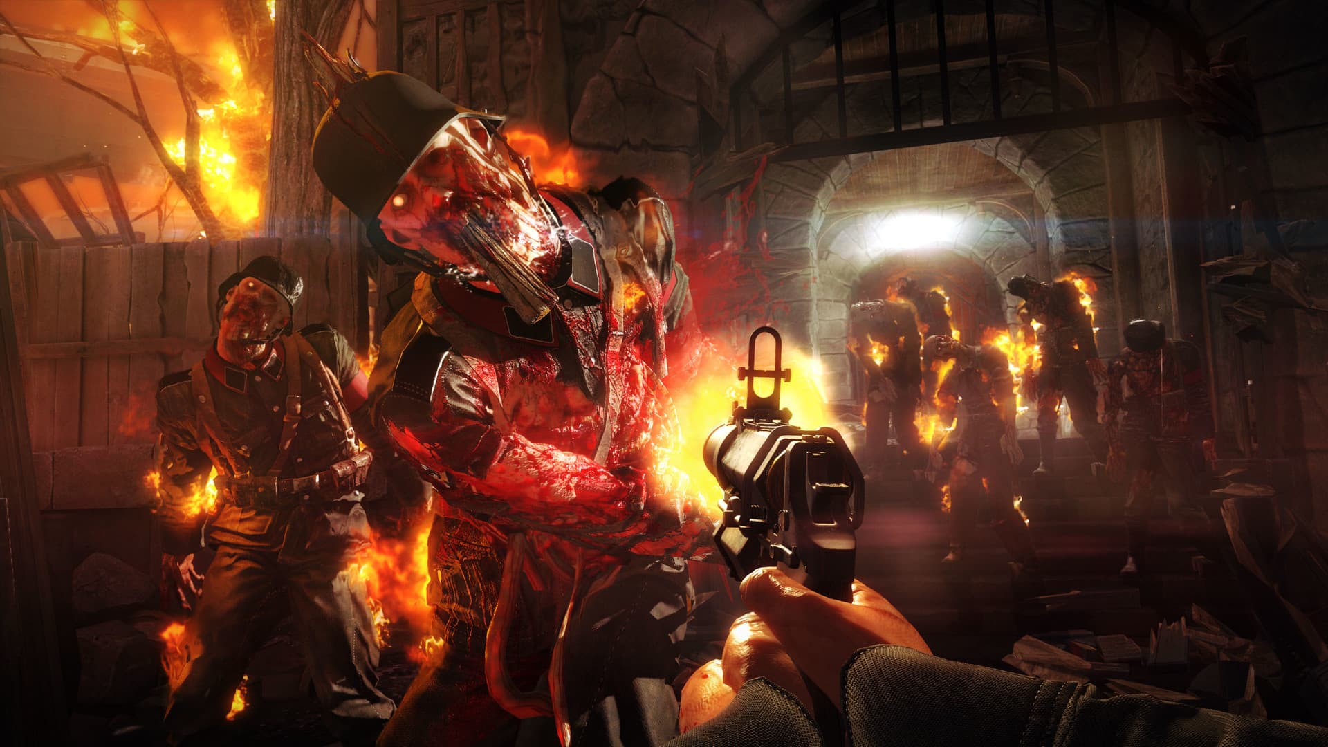 Wolfenstein: The Old Blood PC Steam Account - 4