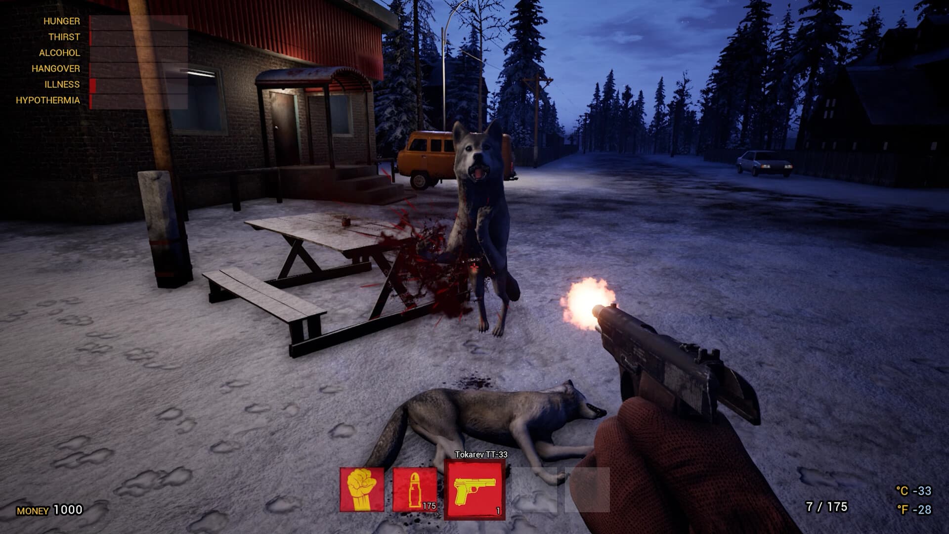 Trans-Siberian Railway Simulator PC Steam Account - 6