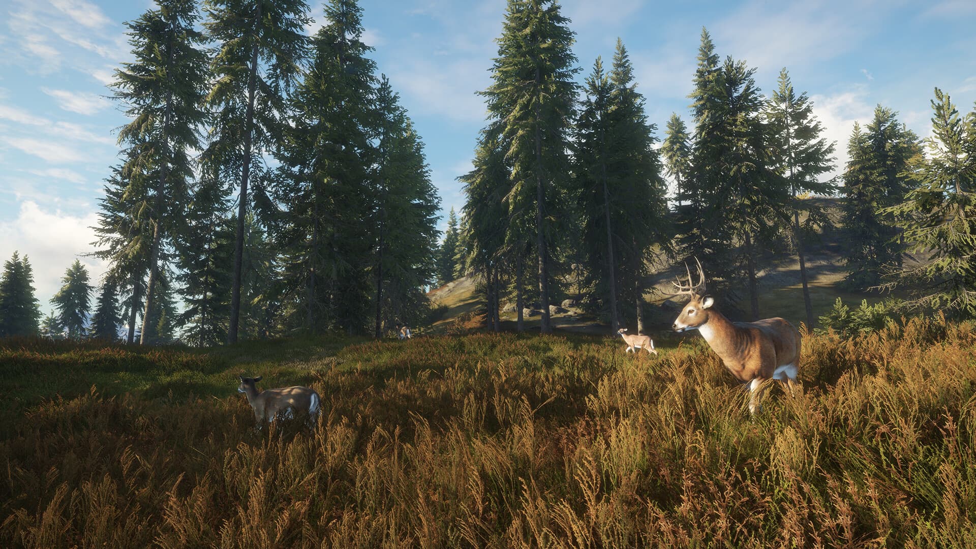 theHunter: Call of the Wild Steam Account - 5