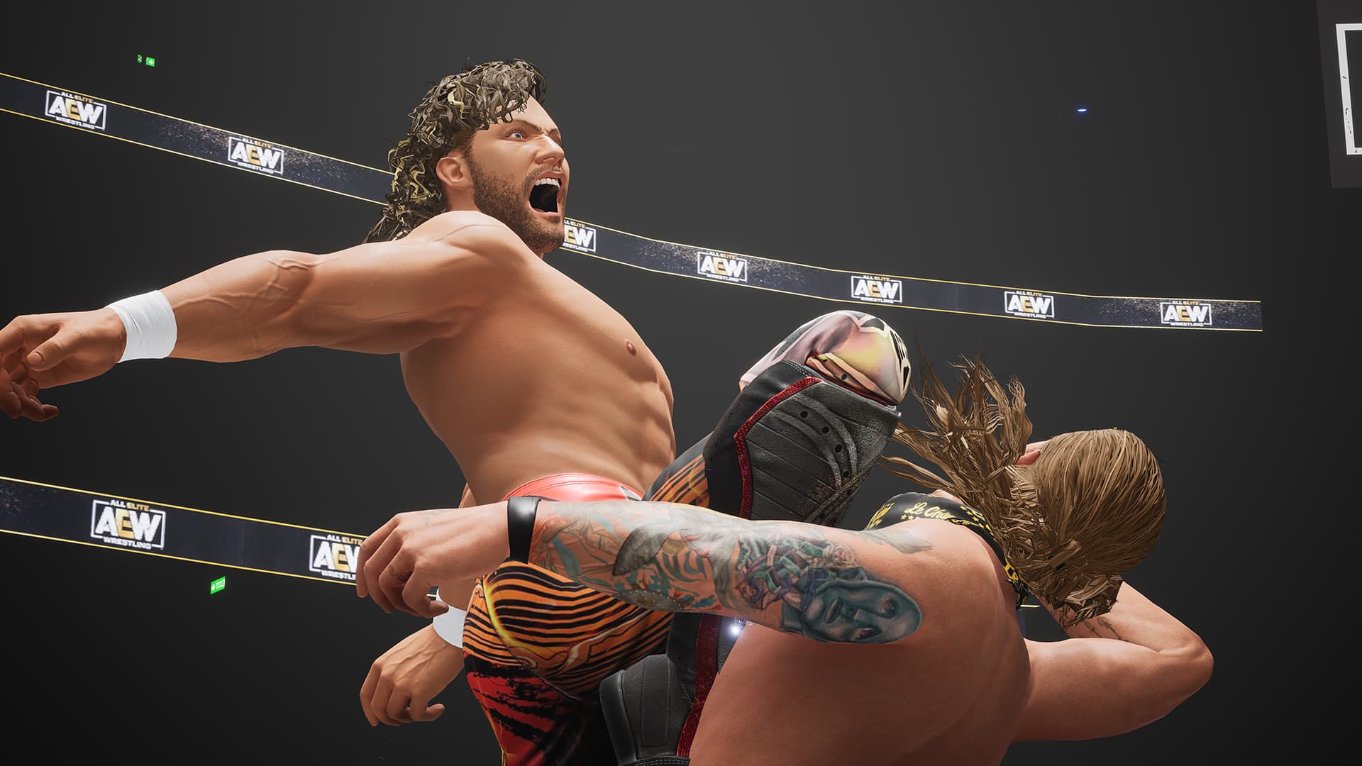 AEW: Fight Forever Steam Account - 6