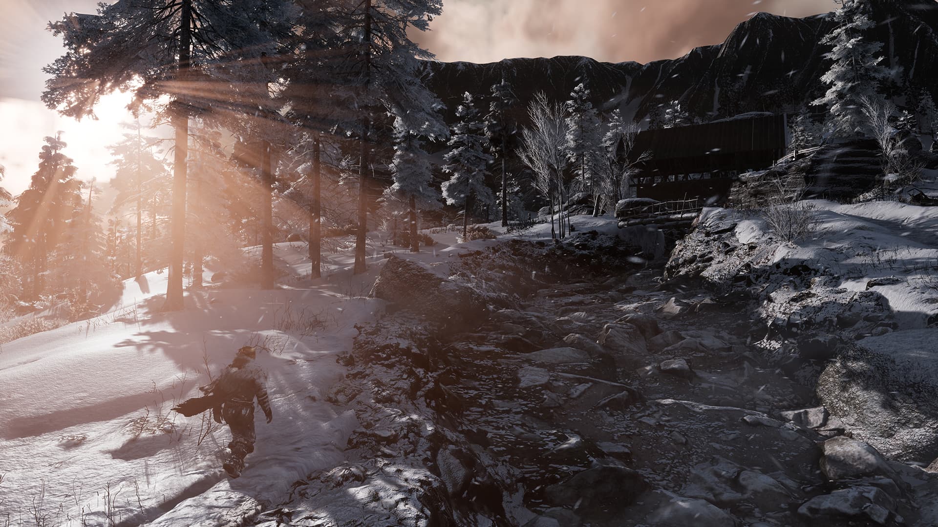 Fade to Silence PC Steam Account - 6
