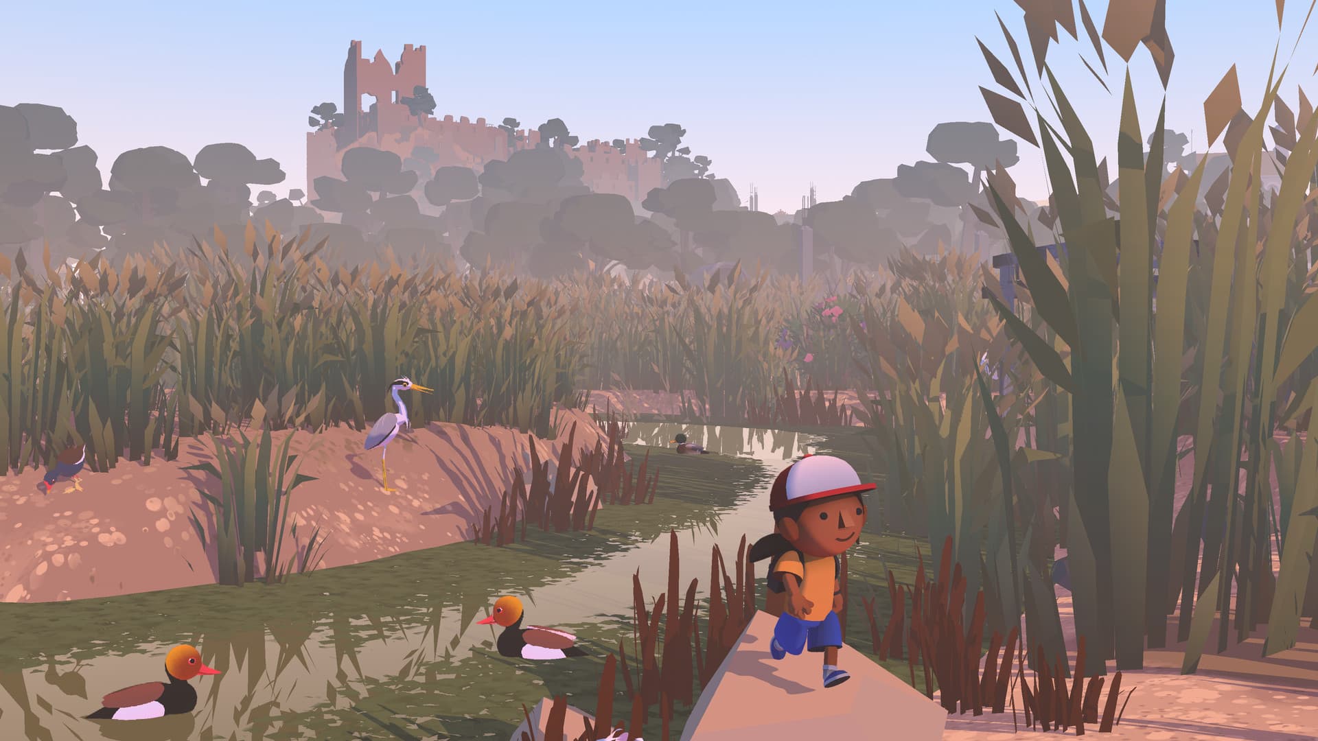 Alba: A Wildlife Adventure PC Steam Account - 5