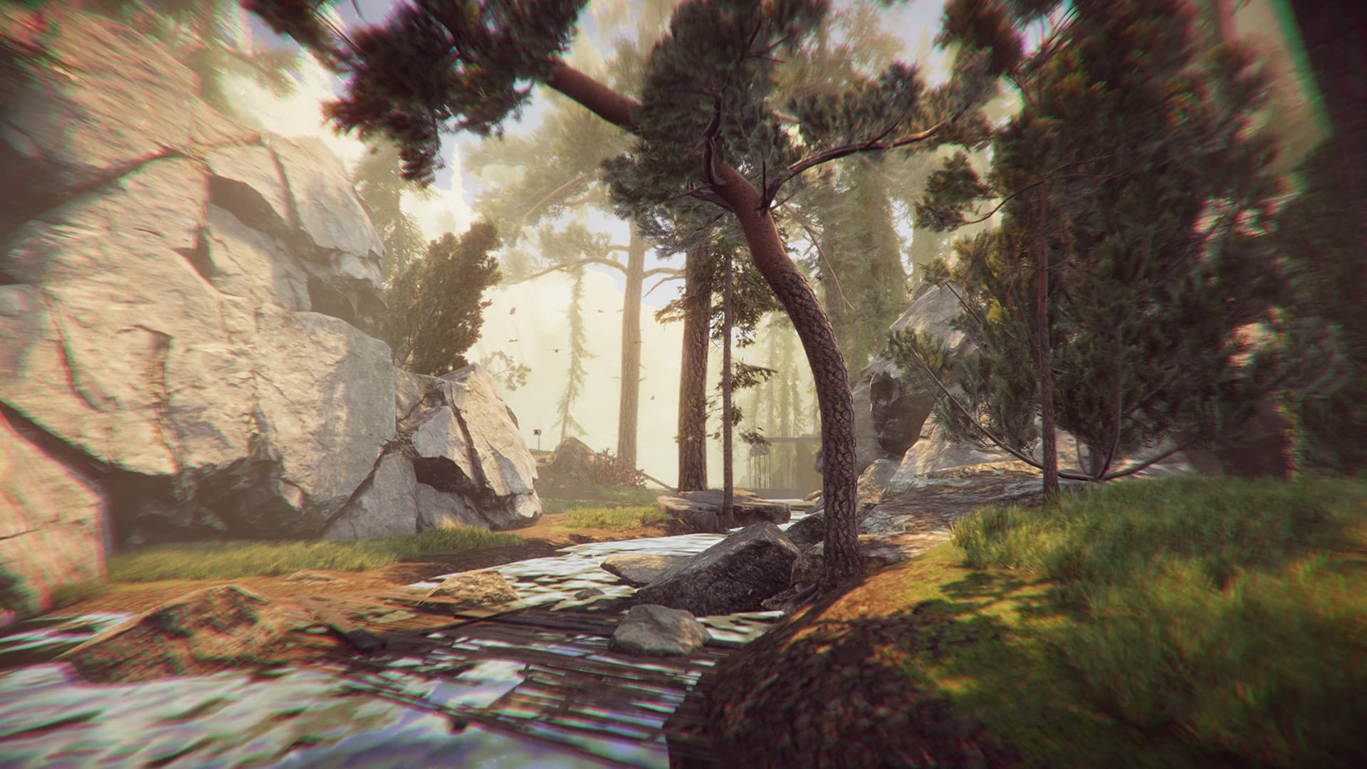 The Forest Cathedral PC Steam Account - 3