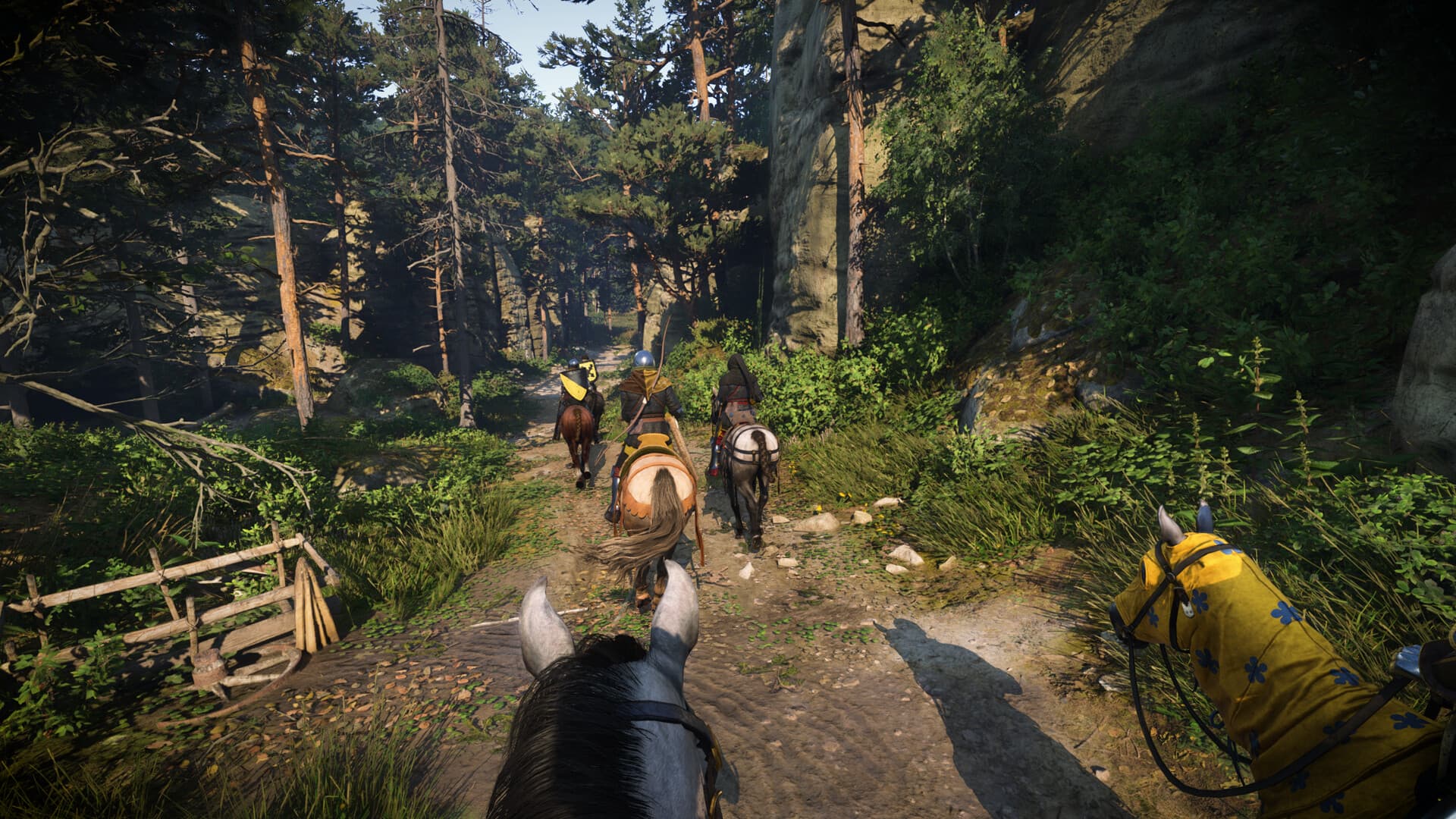 Kingdom Come: Deliverance II PC Steam Account - 7