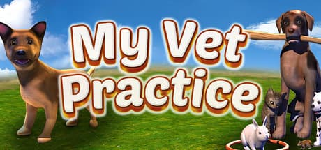 My Vet Practice PC Steam Account