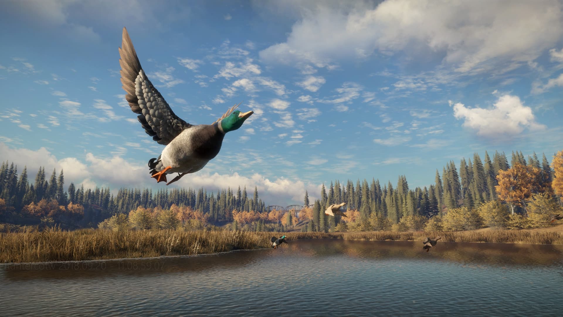 theHunter: Call of the Wild Steam Account - 5