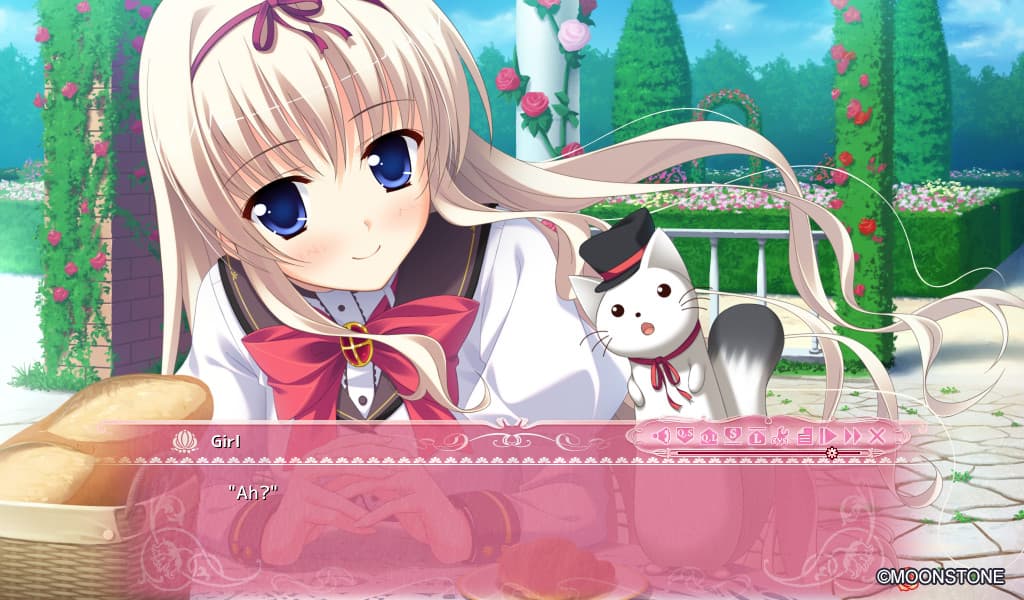 Princess Evangile All Ages Version Steam CD Key - 2