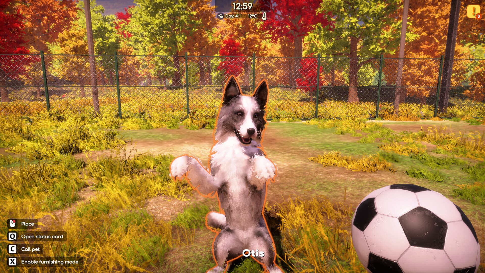Animal Shelter 2 PC Steam Account - 7