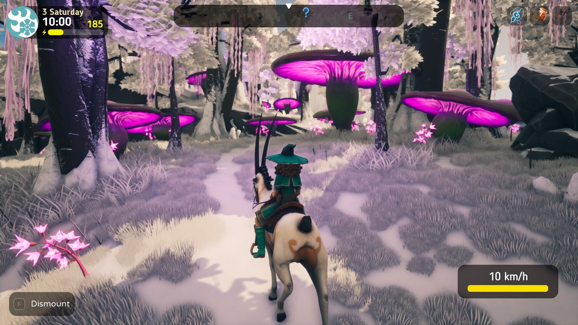 The Witch of Fern Island PC Steam Account - 4