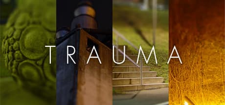 Trauma Steam CD Key