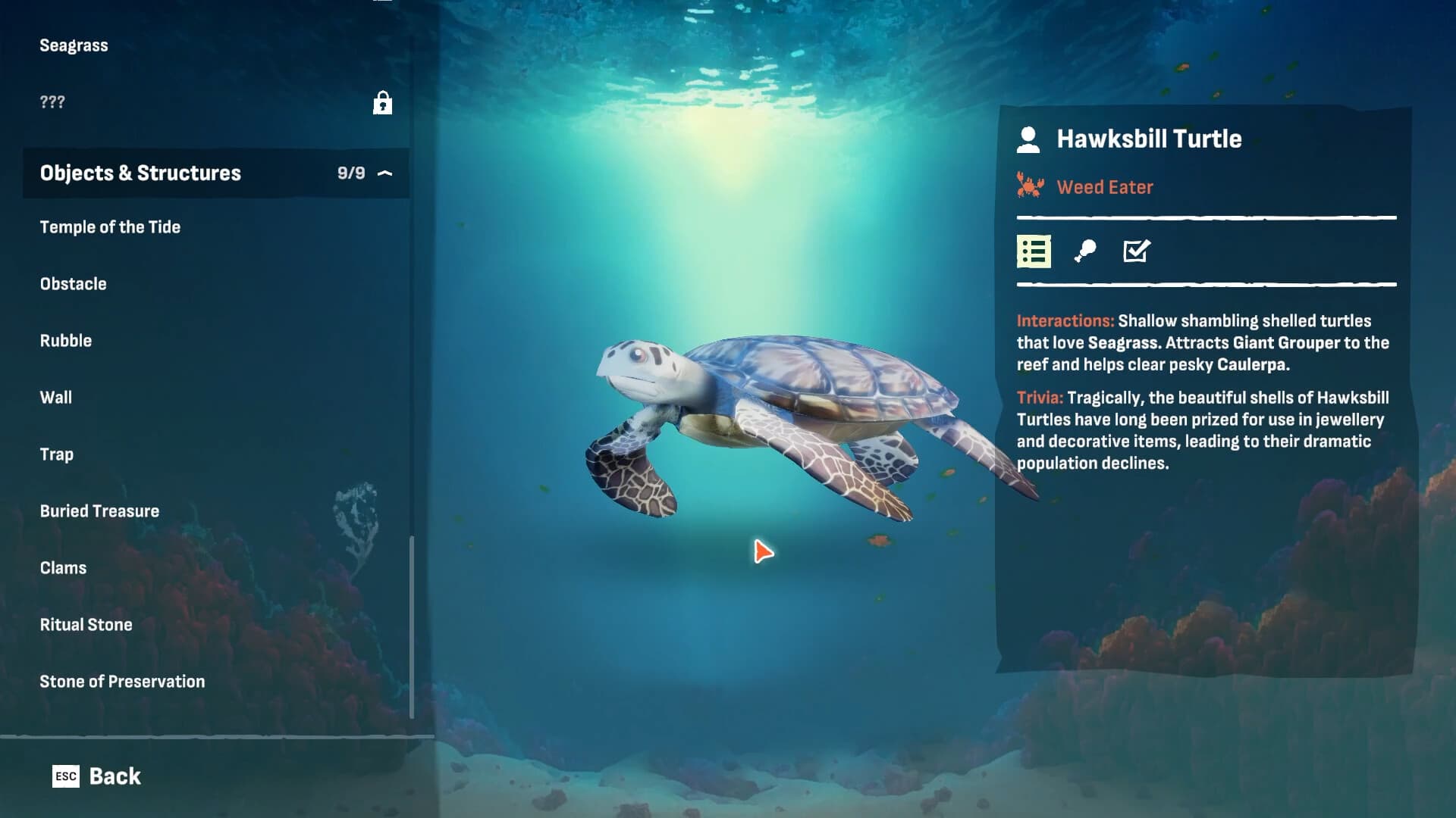 Crab God PC Steam Account - 7