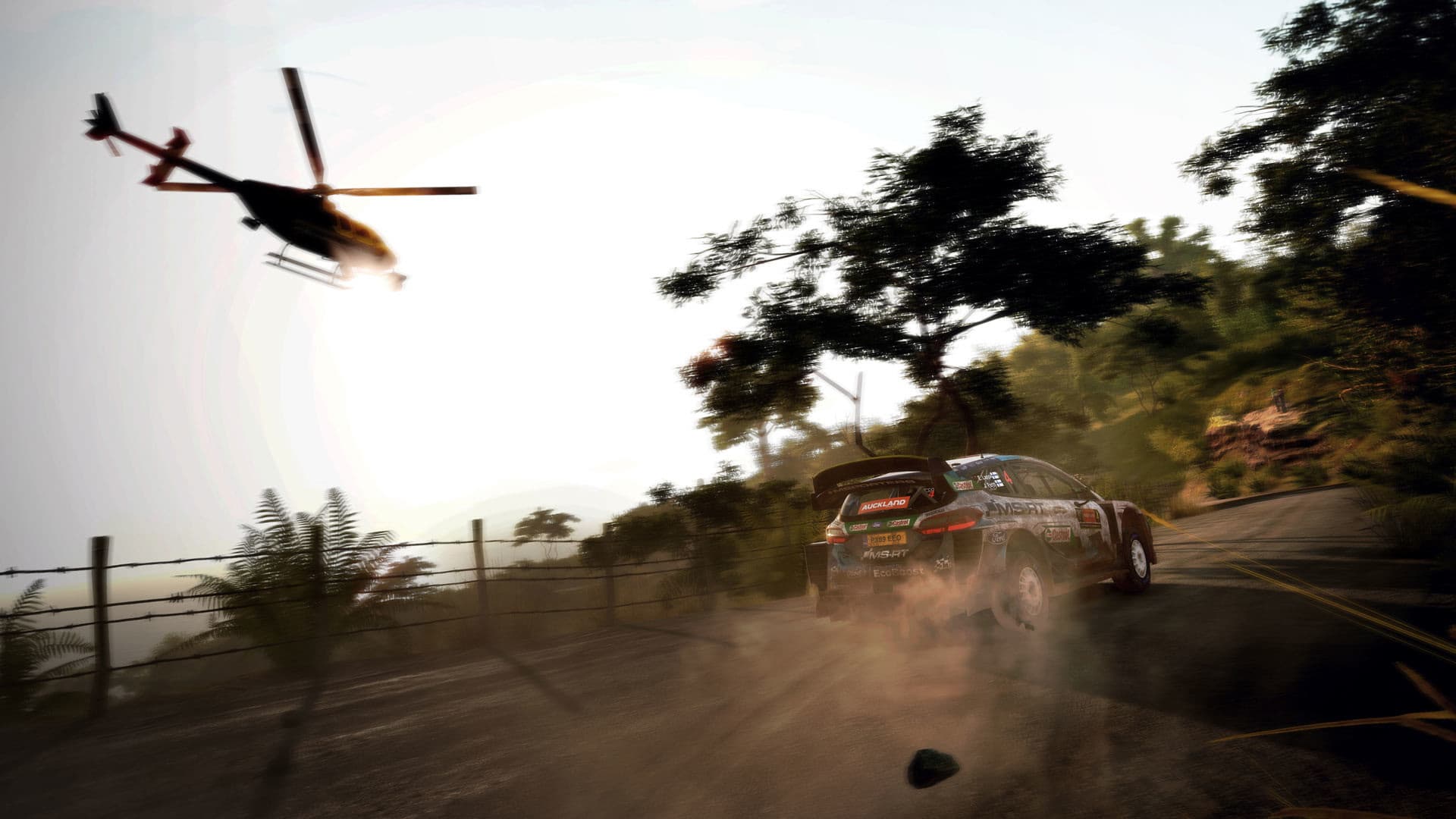 WRC 9 FIA World Rally Championship PC Steam Account - 2
