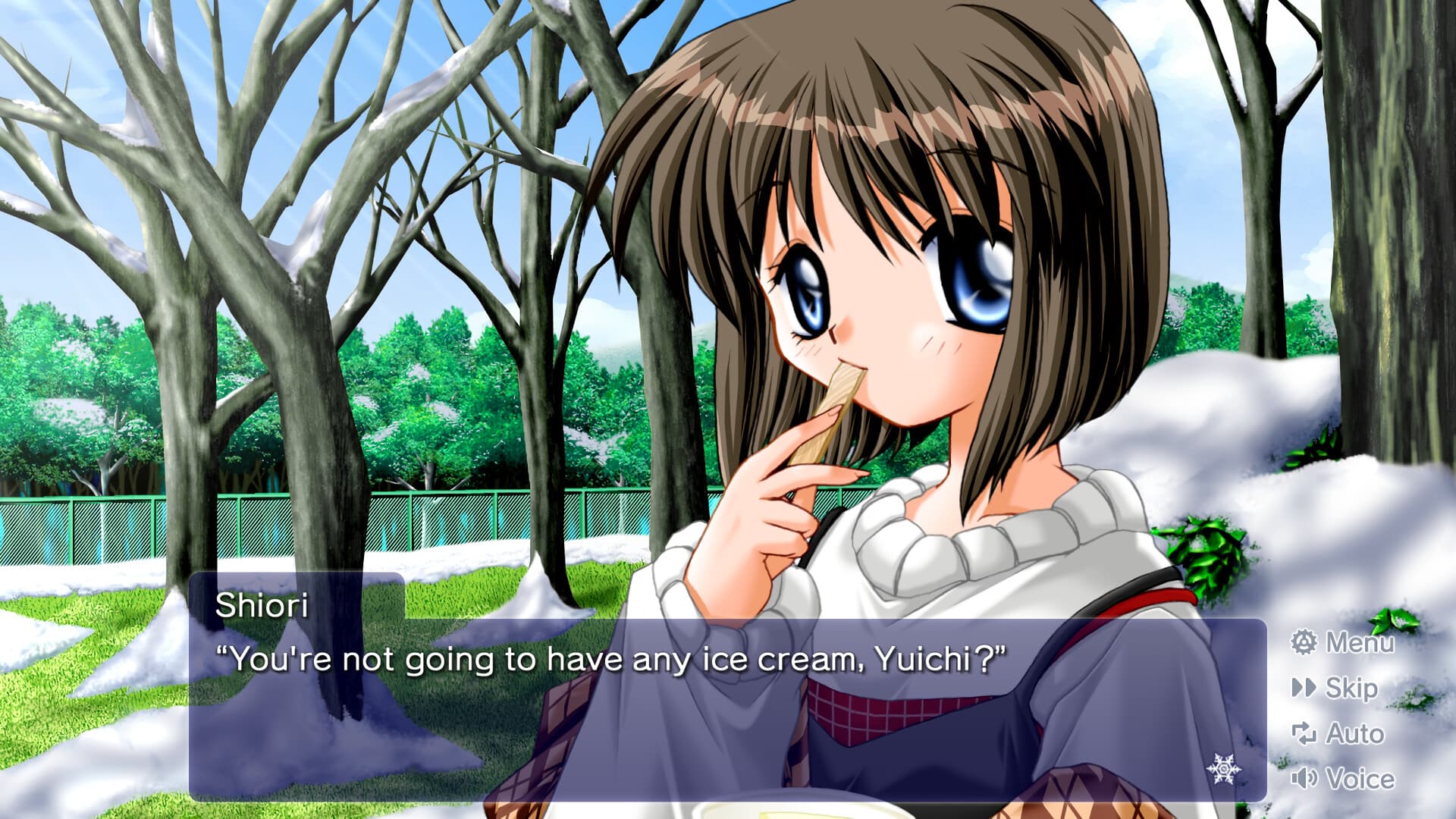 Kanon PC Steam Account - 4