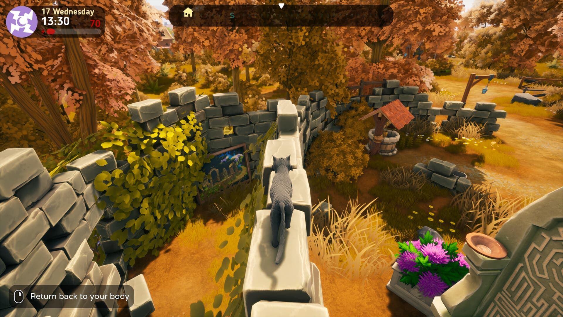 The Witch of Fern Island PC Steam Account - 7