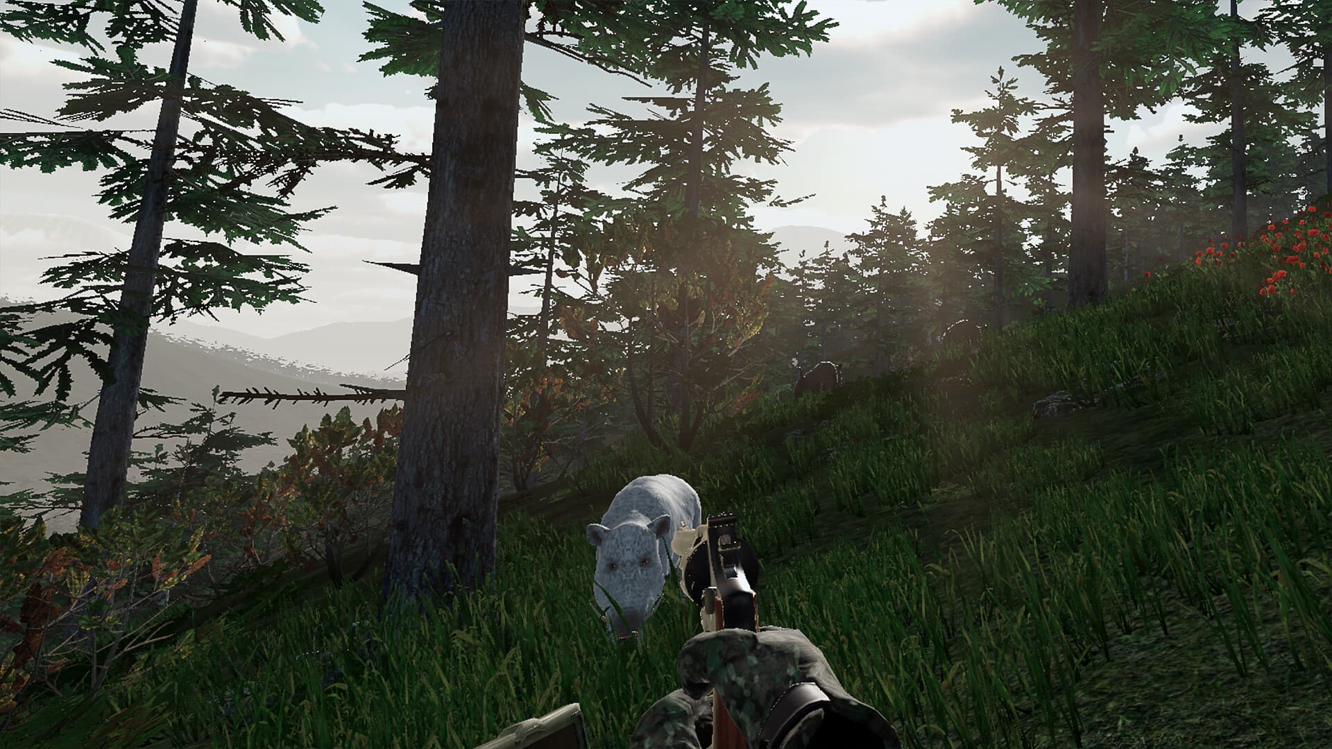 Virtual Hunter PC Steam Account - 4
