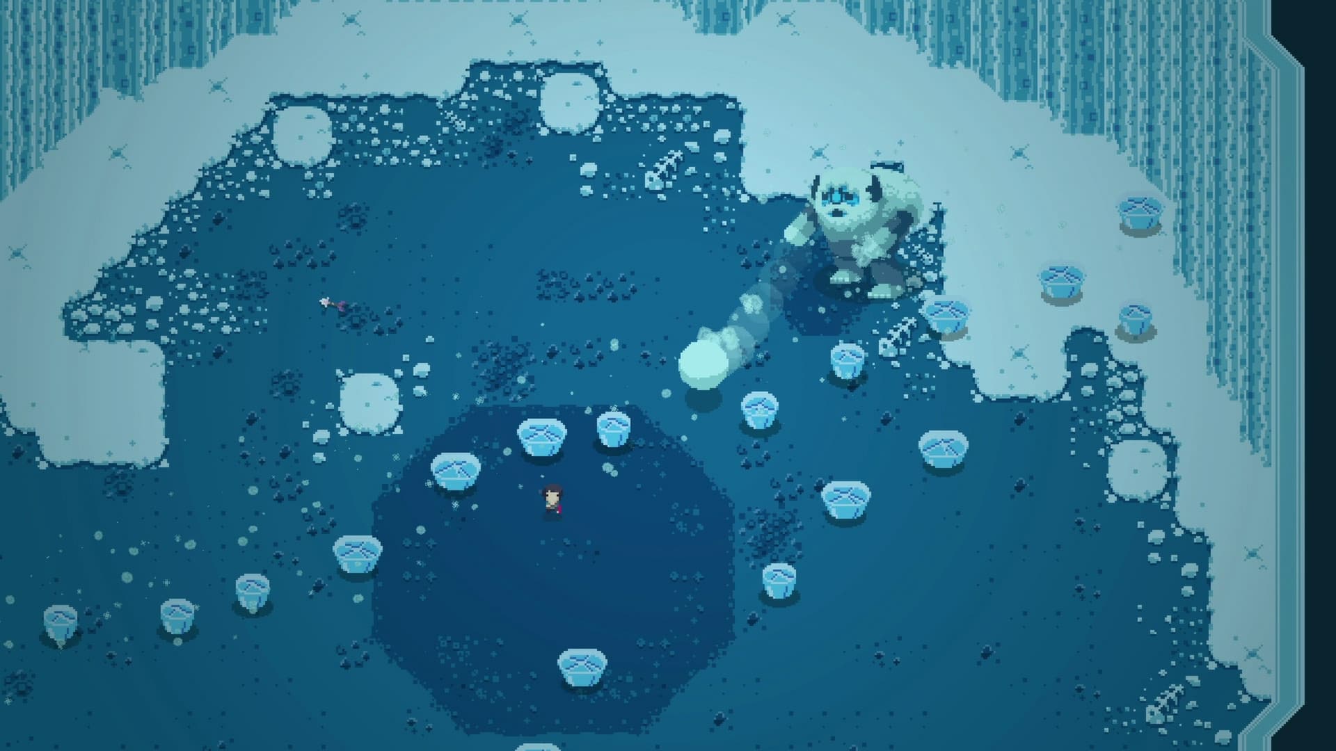 Titan Souls Collector's Edition Steam CD Key - 3