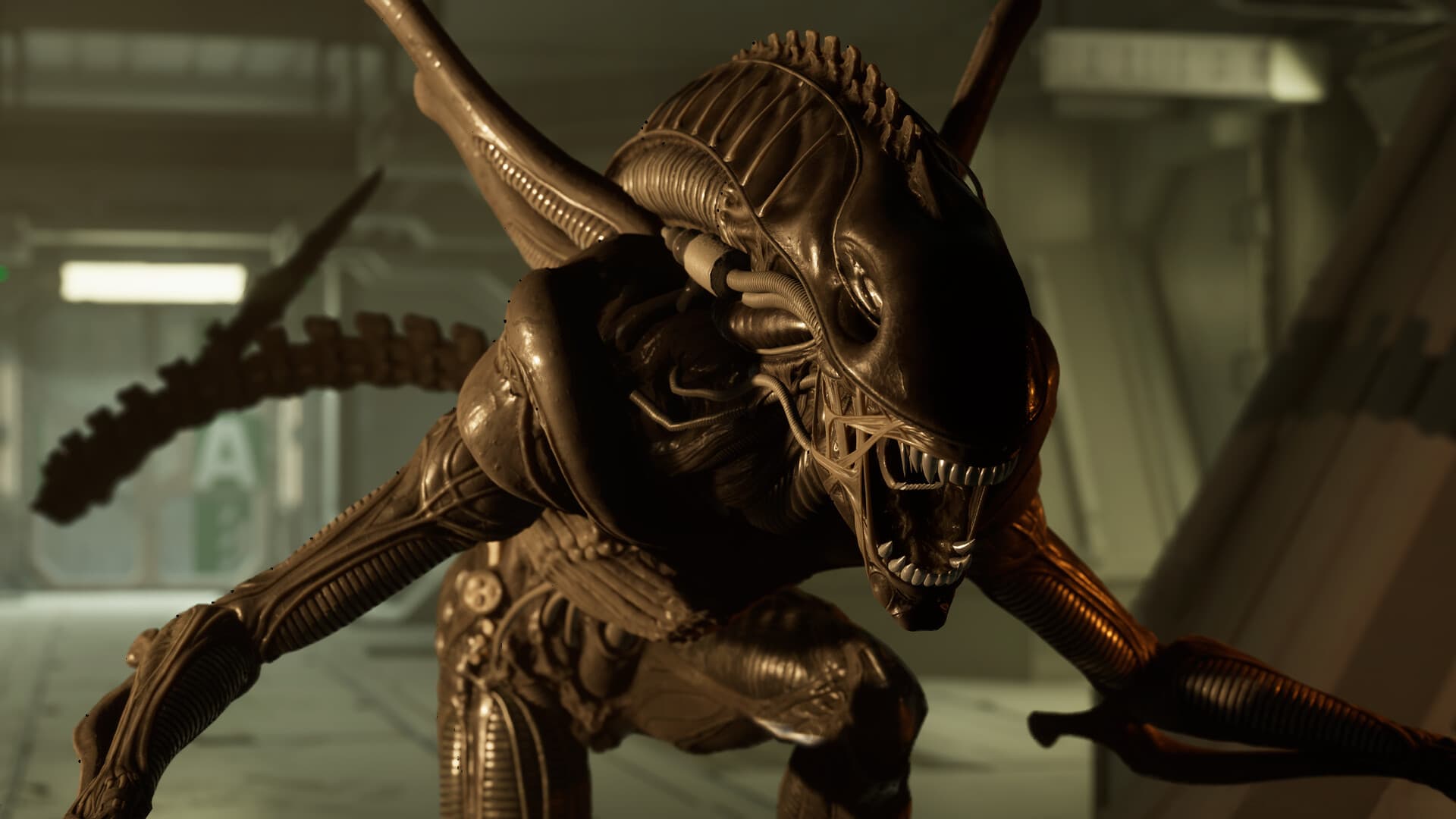 Alien: Rogue Incursion VR PC Steam Account - 4