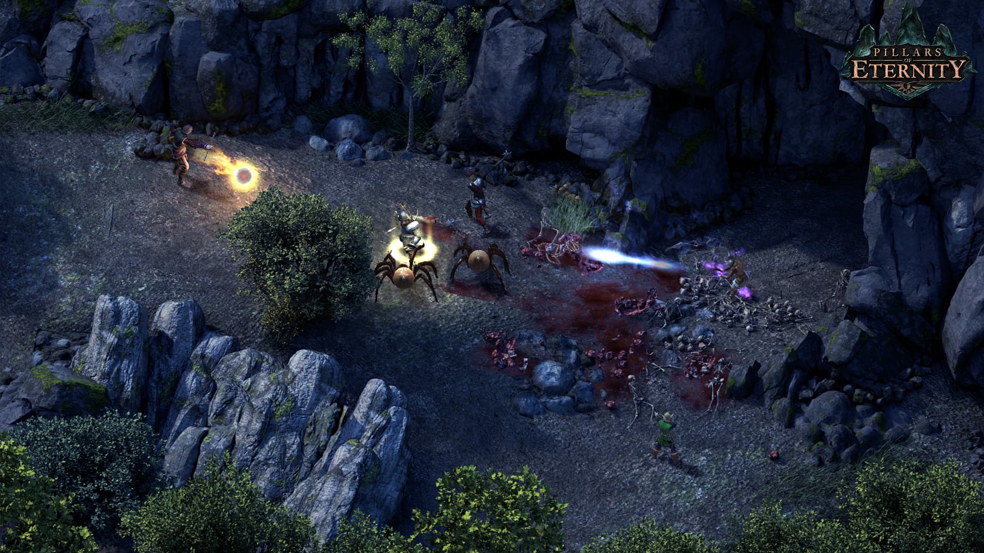 Pillars of Eternity Hero Edition Steam CD Key - 4