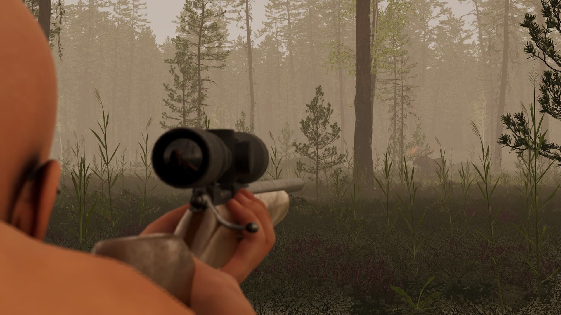 Finnish Cottage Simulator PC Steam Account - 6