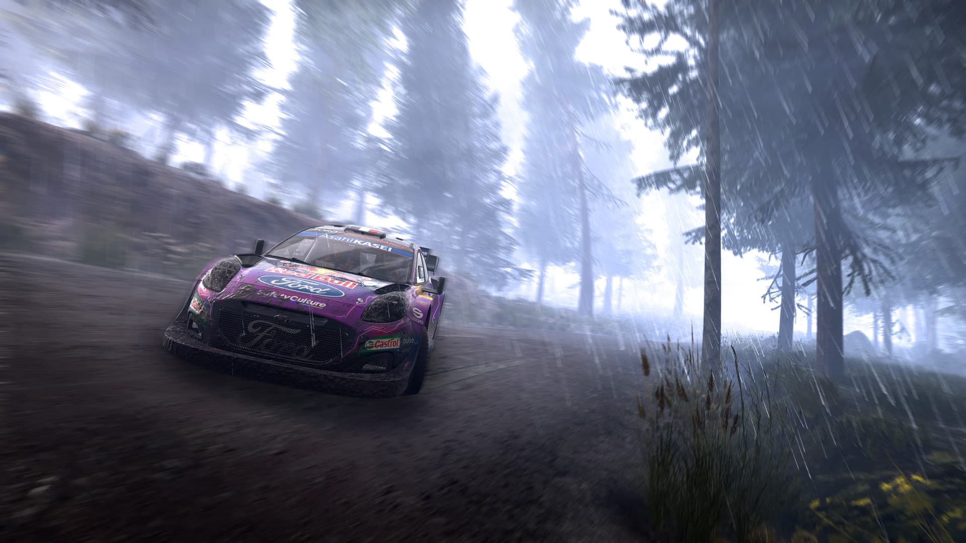 WRC Generations PC Steam Account - 2