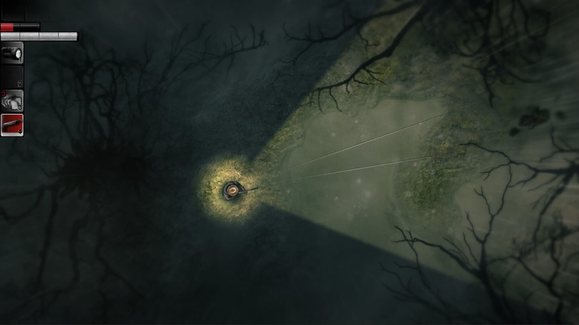 Darkwood PC Steam Account - 8