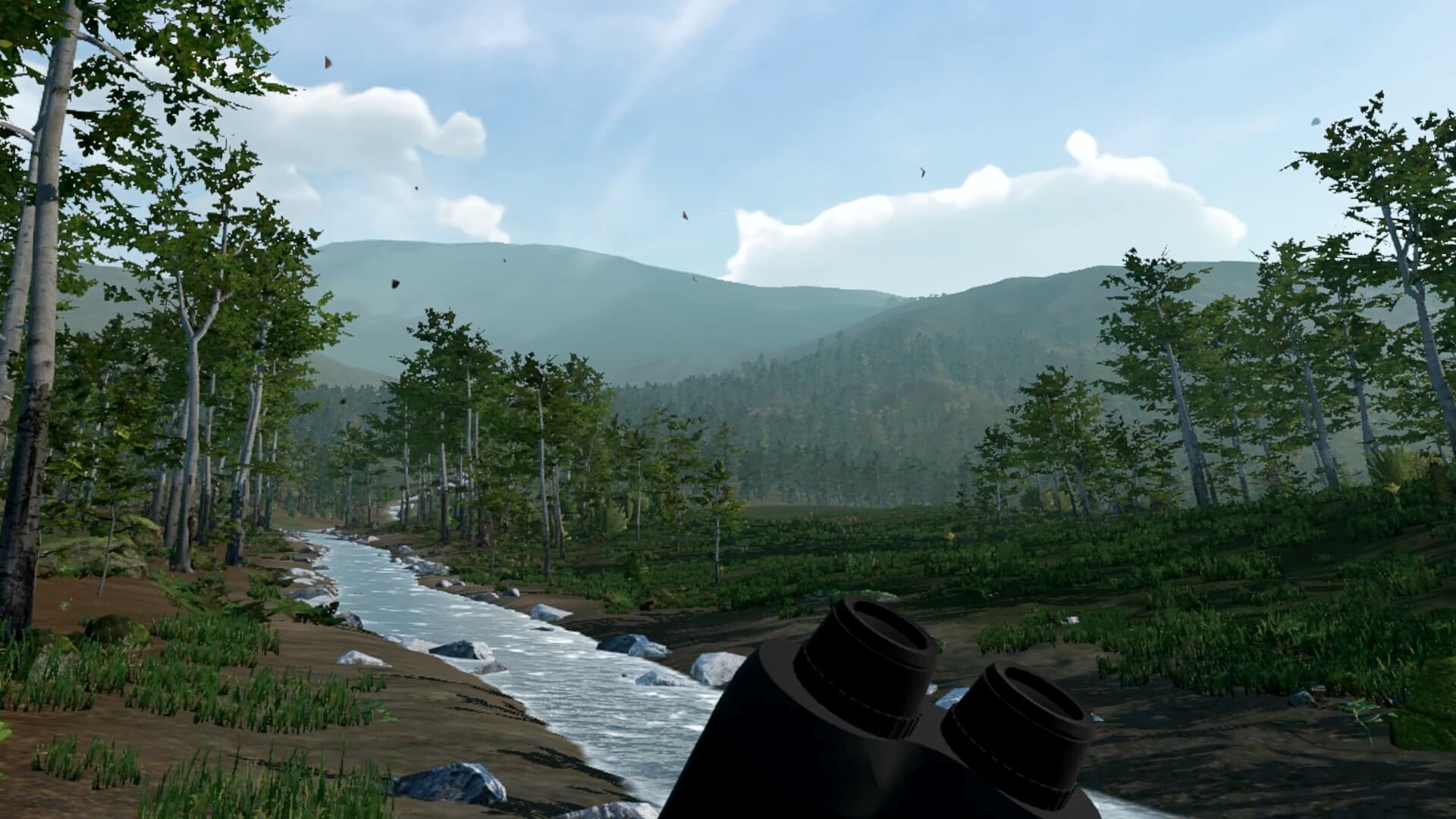 Virtual Hunter PC Steam Account - 3