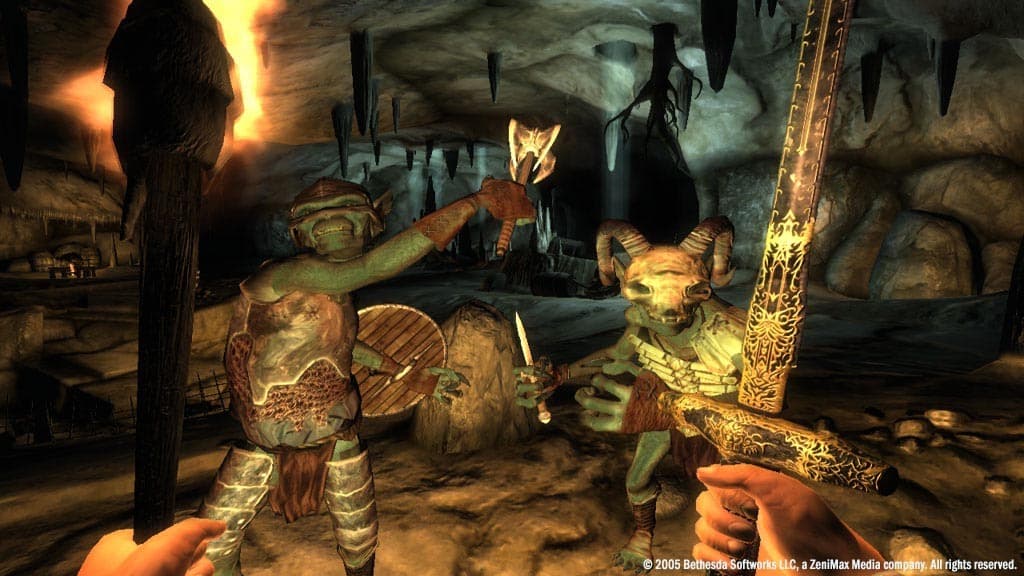 The Elder Scrolls IV: Oblivion GOTY Edition Deluxe PC Steam CD Key - 8