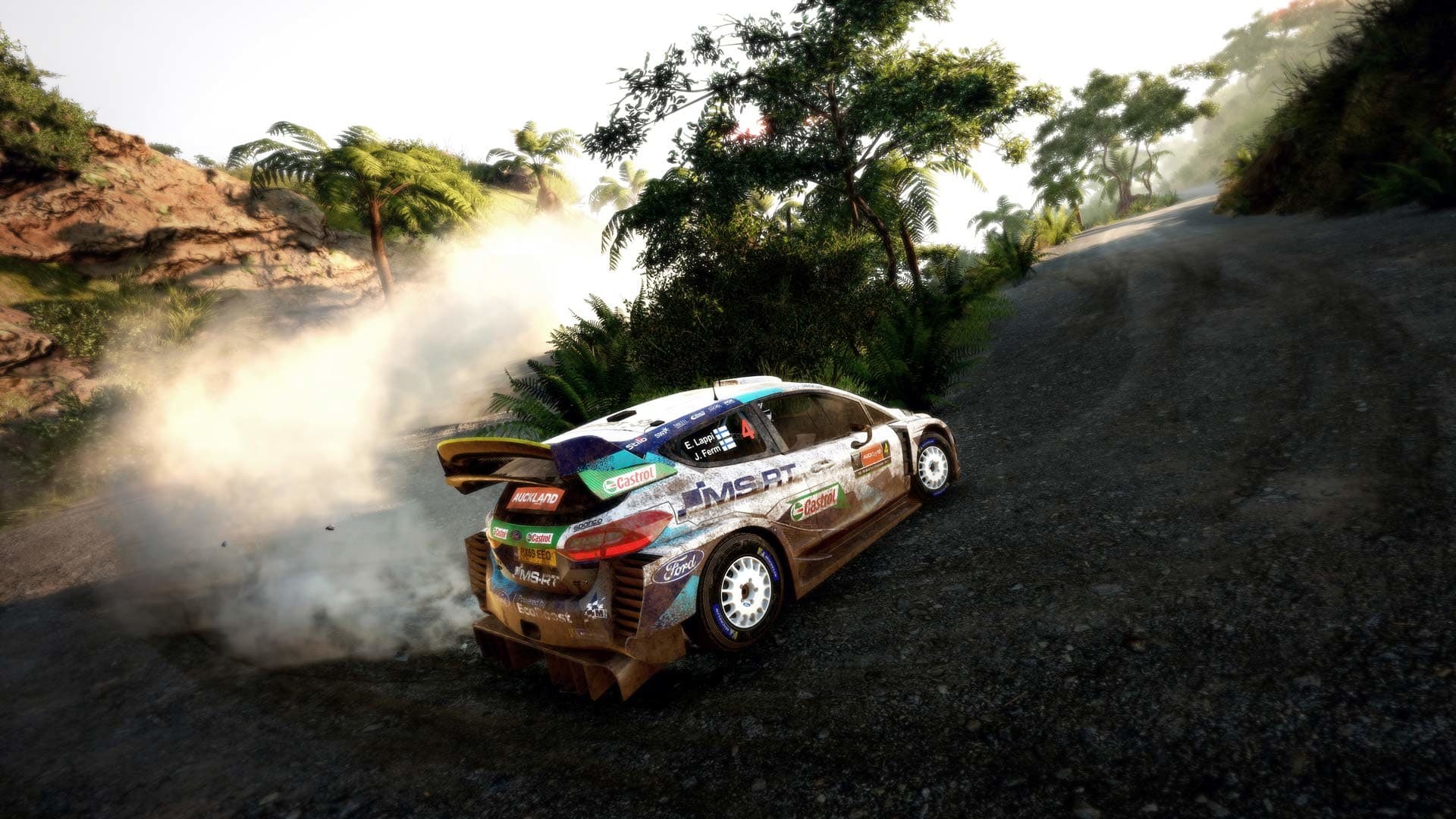 WRC 9 FIA World Rally Championship PC Steam Account - 3