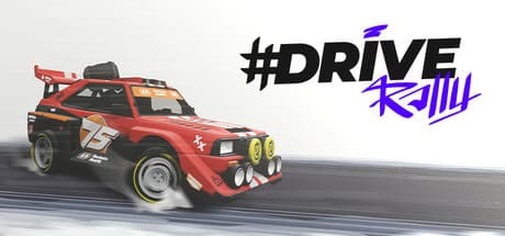#Drive Rally PC Steam Account