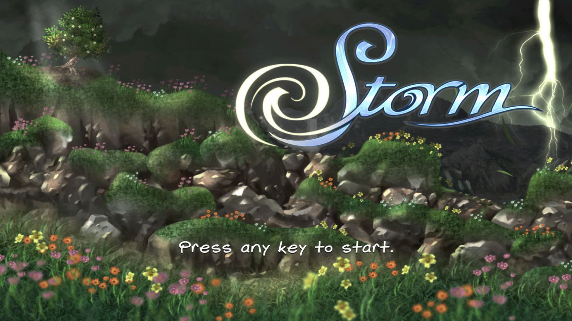 Storm Steam CD Key - 2