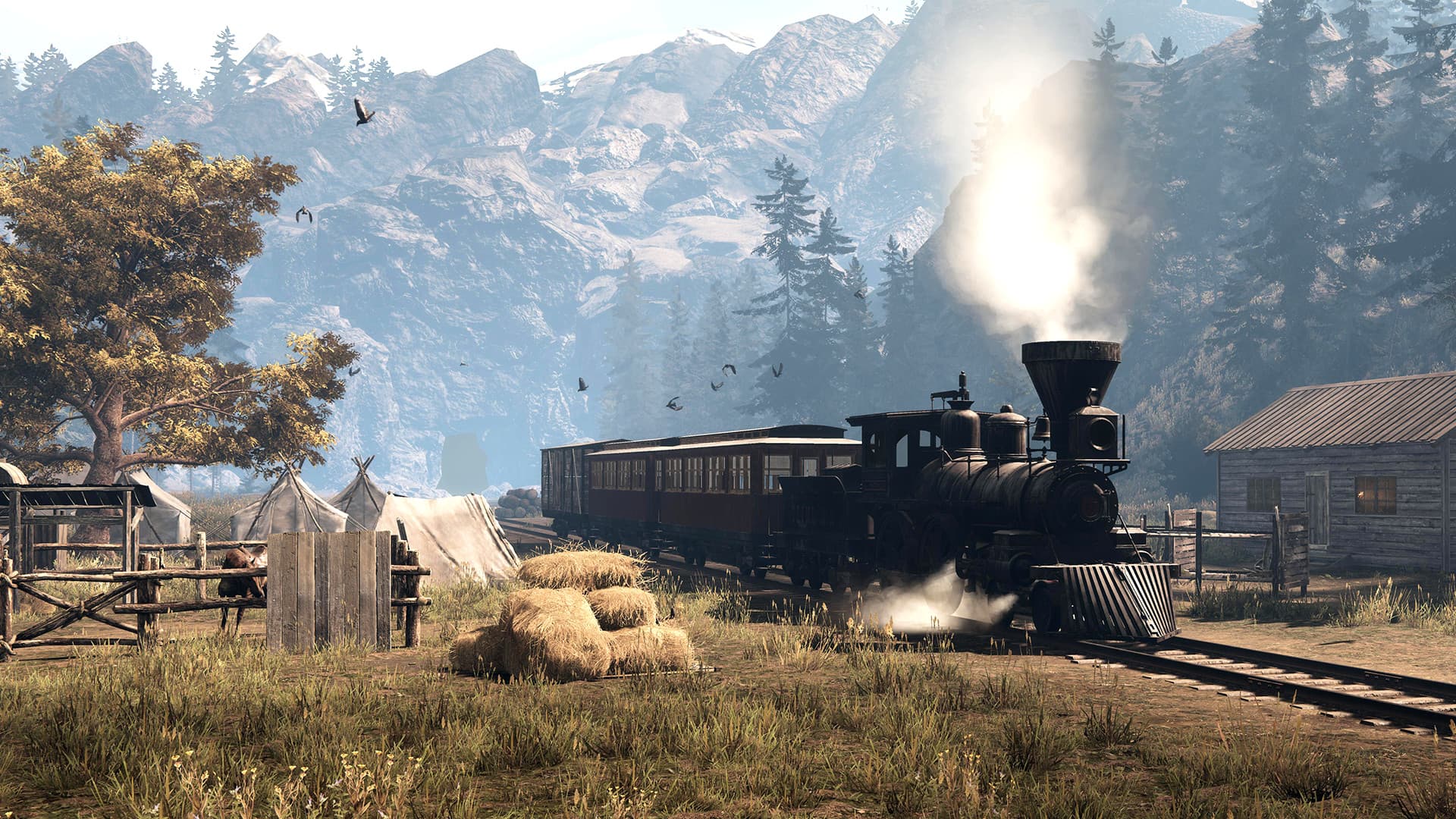 This Land Is My Land Steam Account - 4