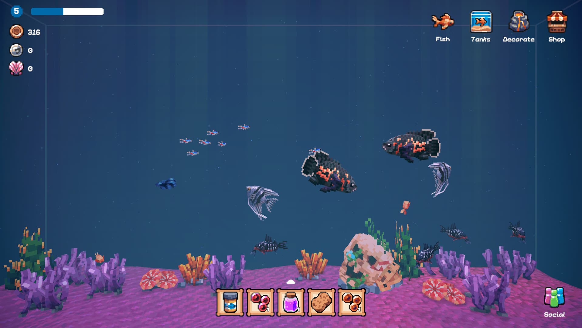 Tiny Aquarium: Social Fishkeeping PC Steam Account - 5