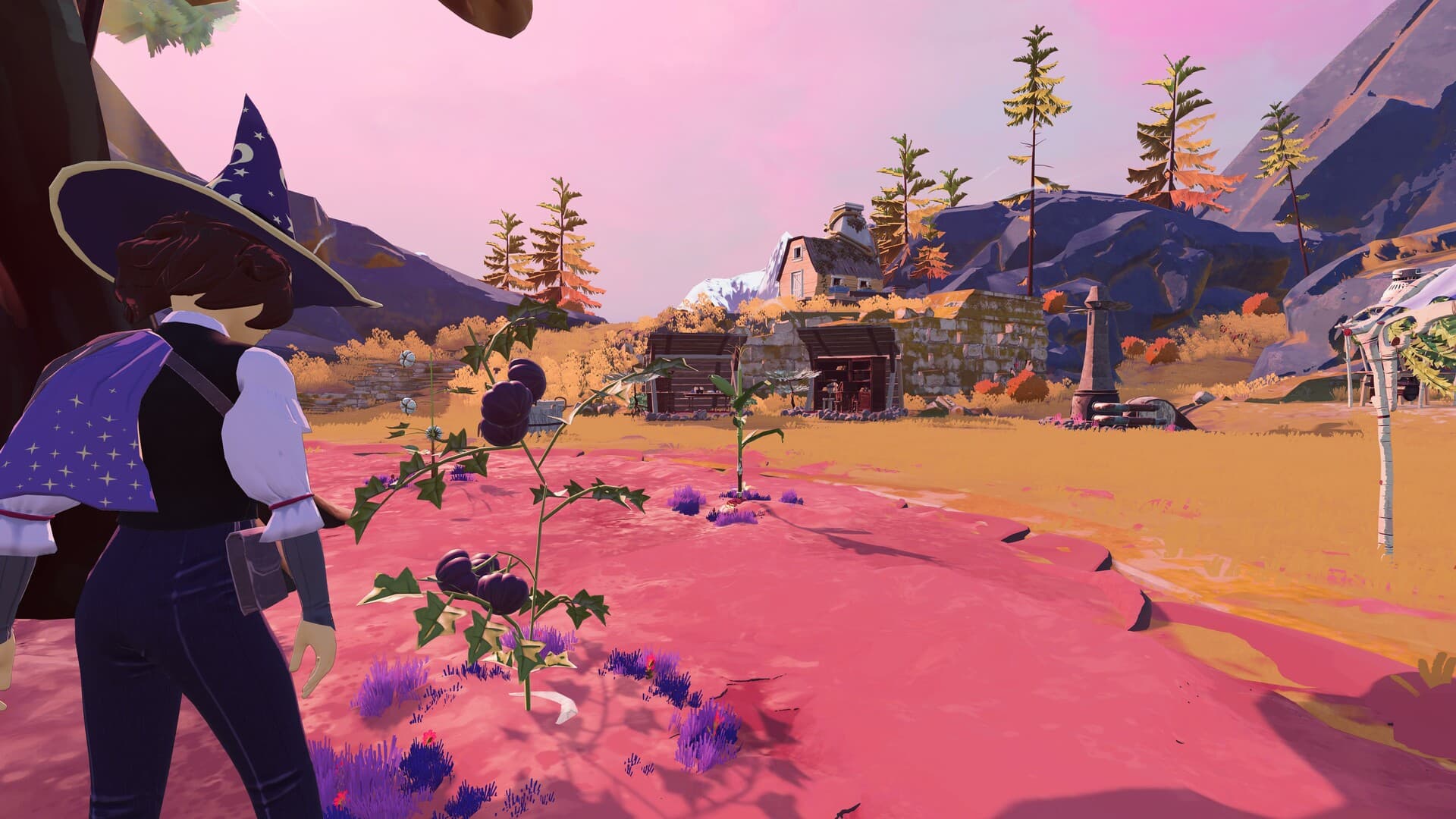 Homestead Arcana PC Steam Account - 7