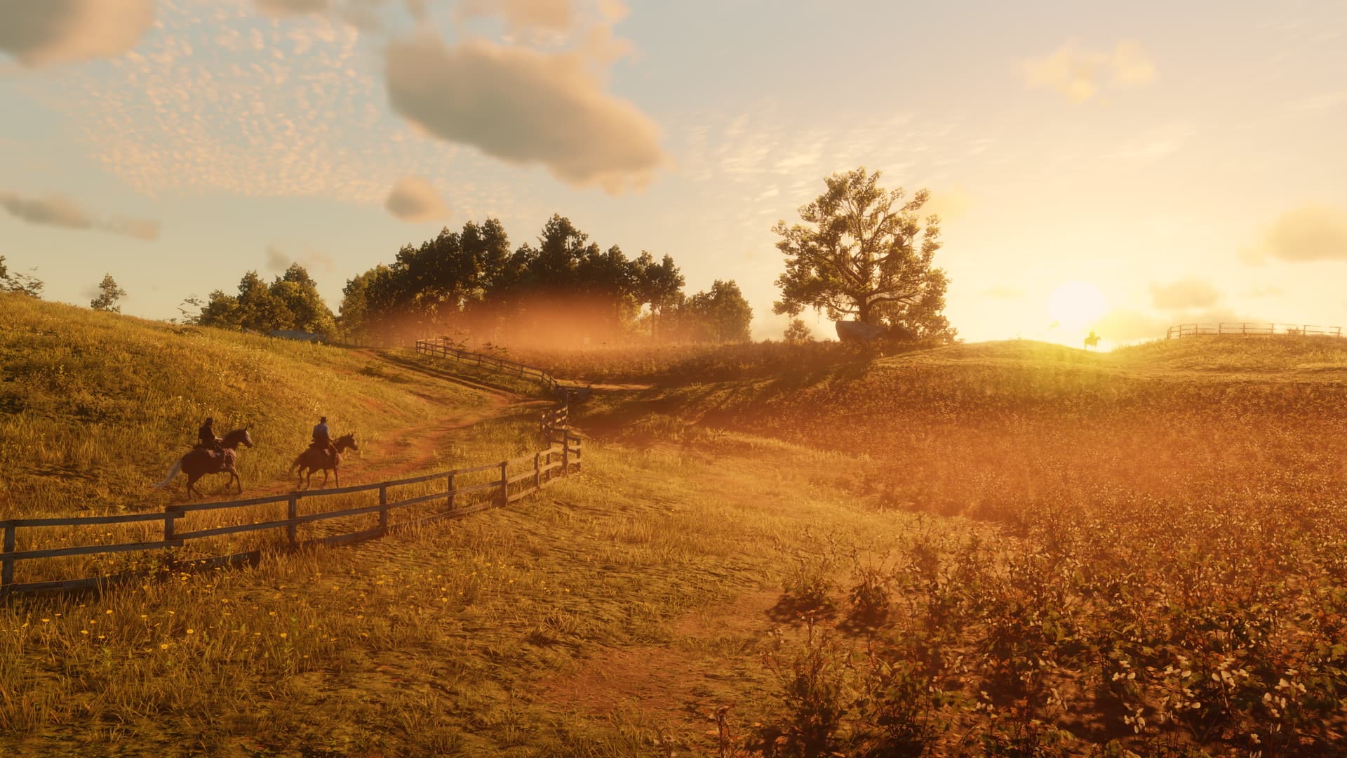 Red Dead Redemption 2 Steam Account - 5