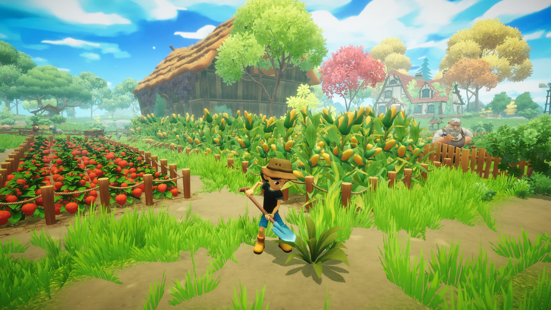 Everdream Valley PC Steam Account - 3