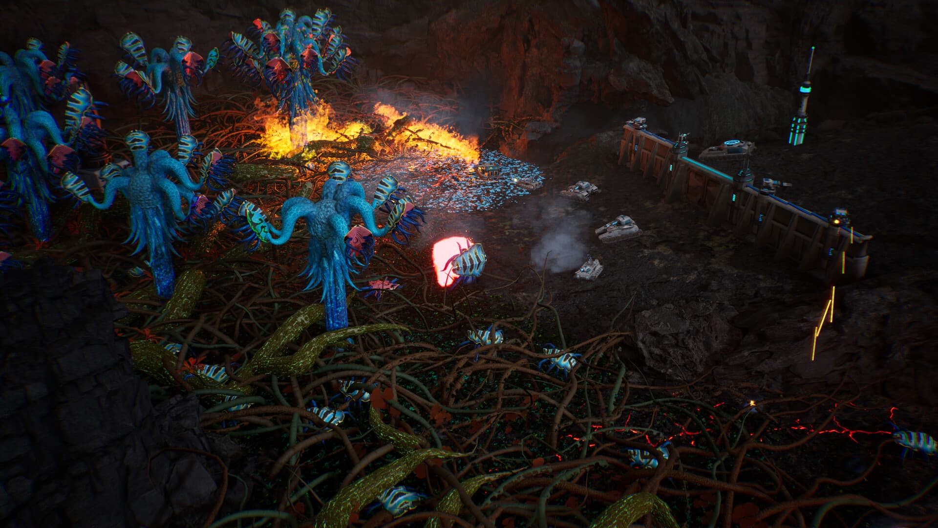 Calyx PC Steam Account - 6