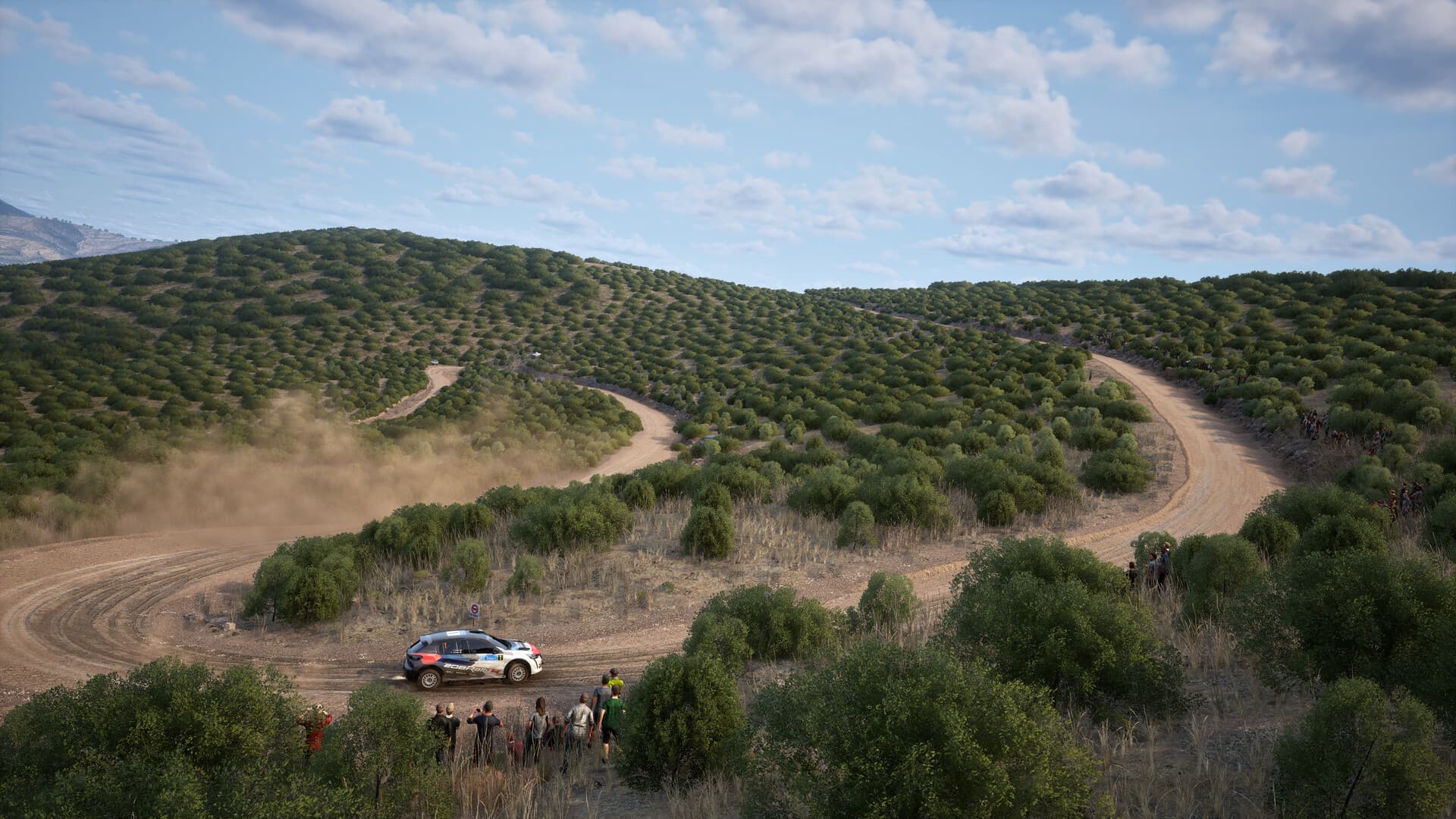 Assetto Corsa Rally PC Steam Account - 4