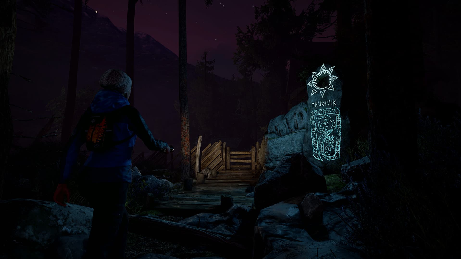 Through the Woods PC Steam Account - 2