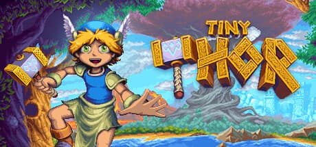 Tiny Thor PC Steam Account