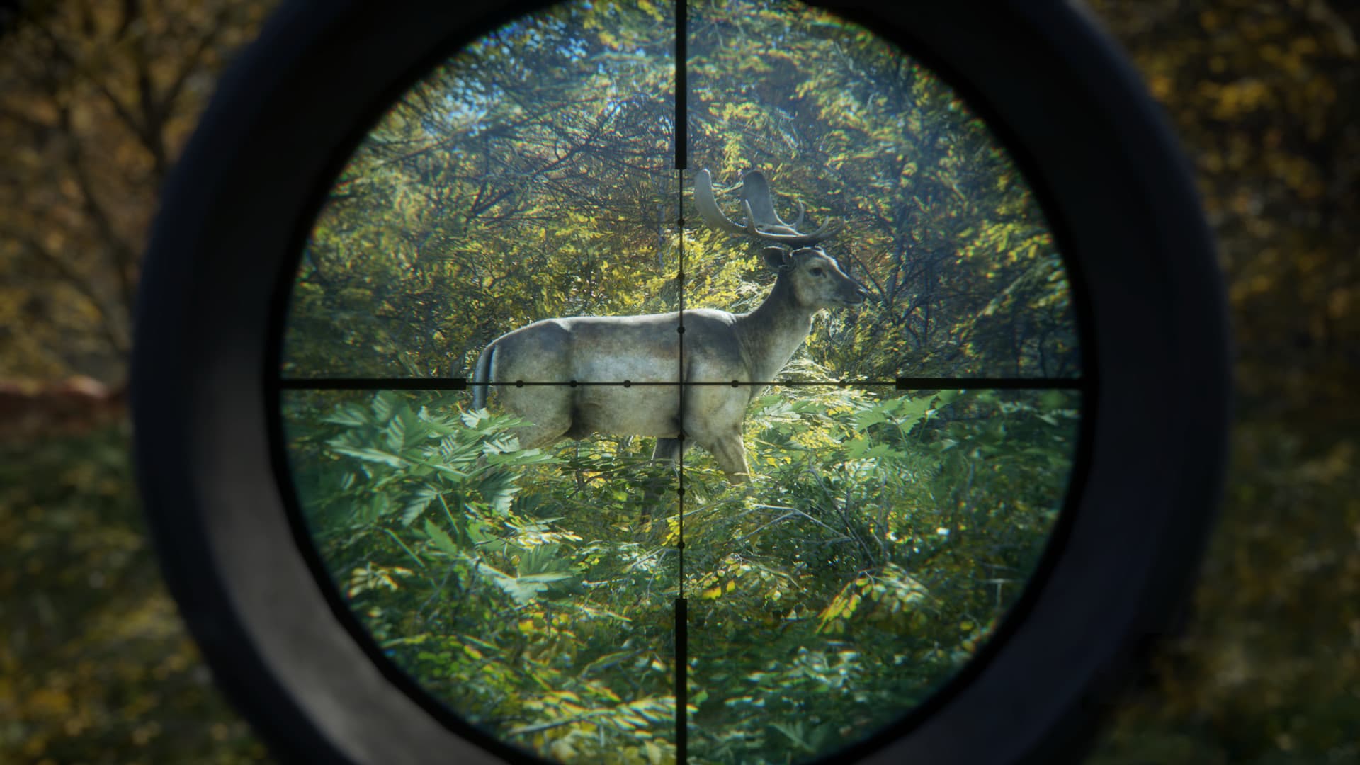 theHunter: Call of the Wild Steam Account - 4