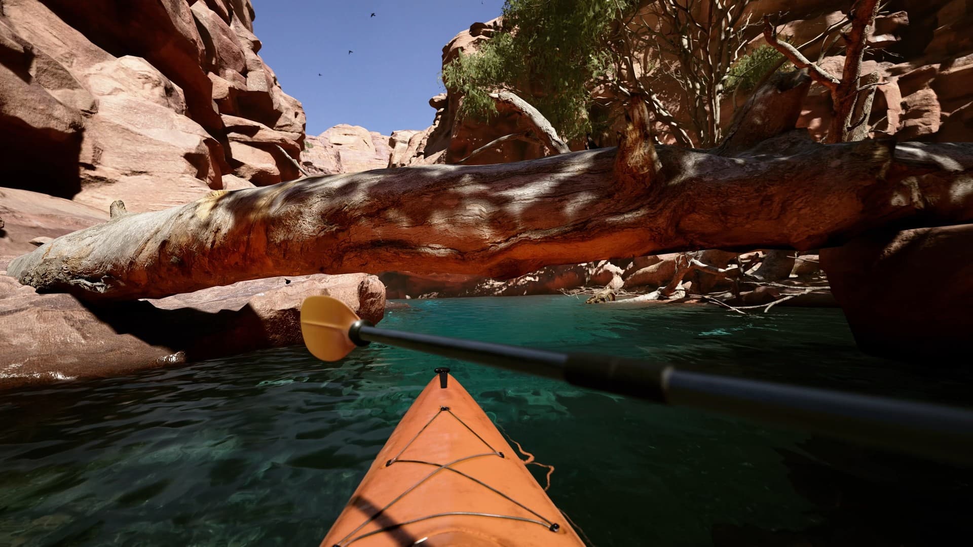 Kayak VR: Mirage PC Steam Account - 3