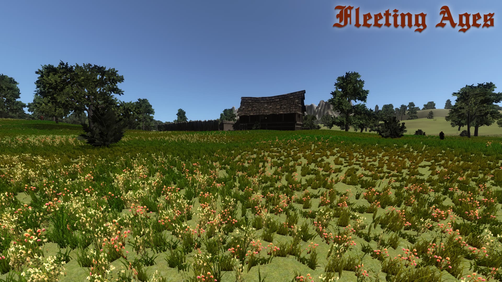 Fleeting Ages Steam CD Key - 7