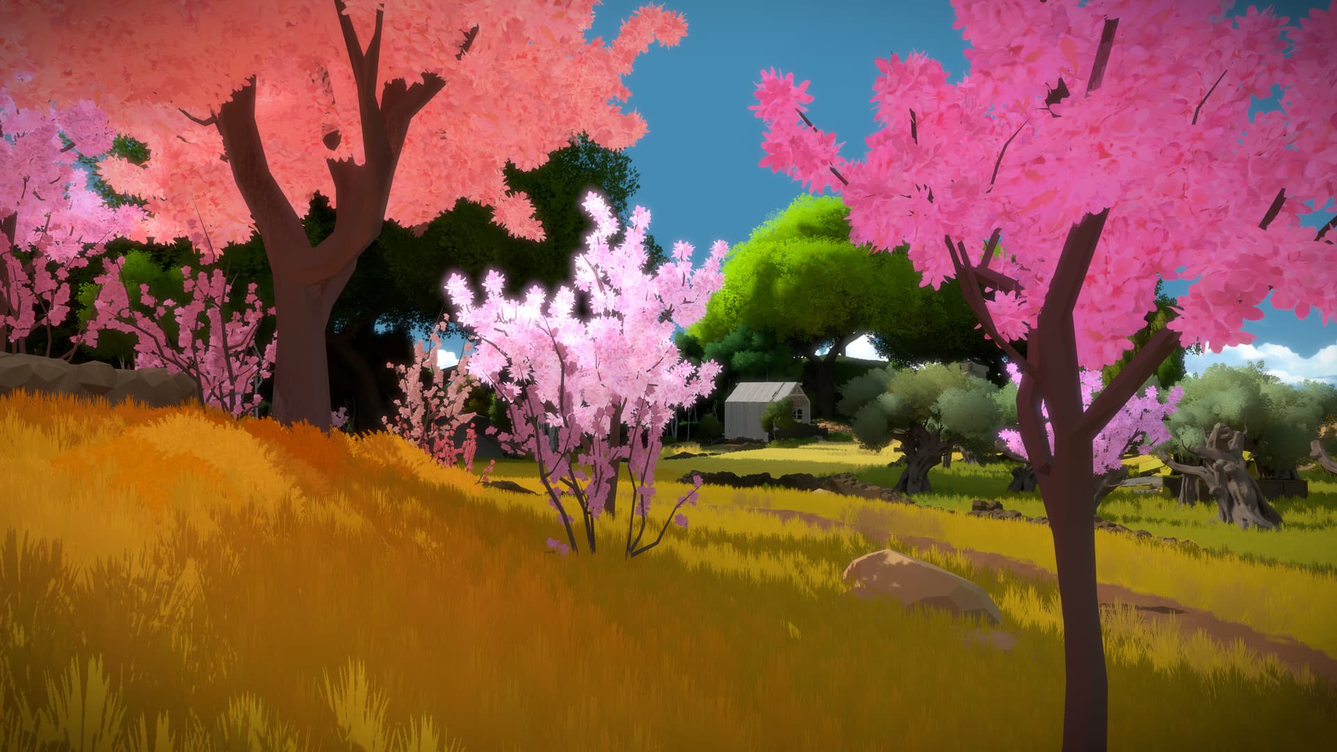 The Witness Steam CD Key - 4