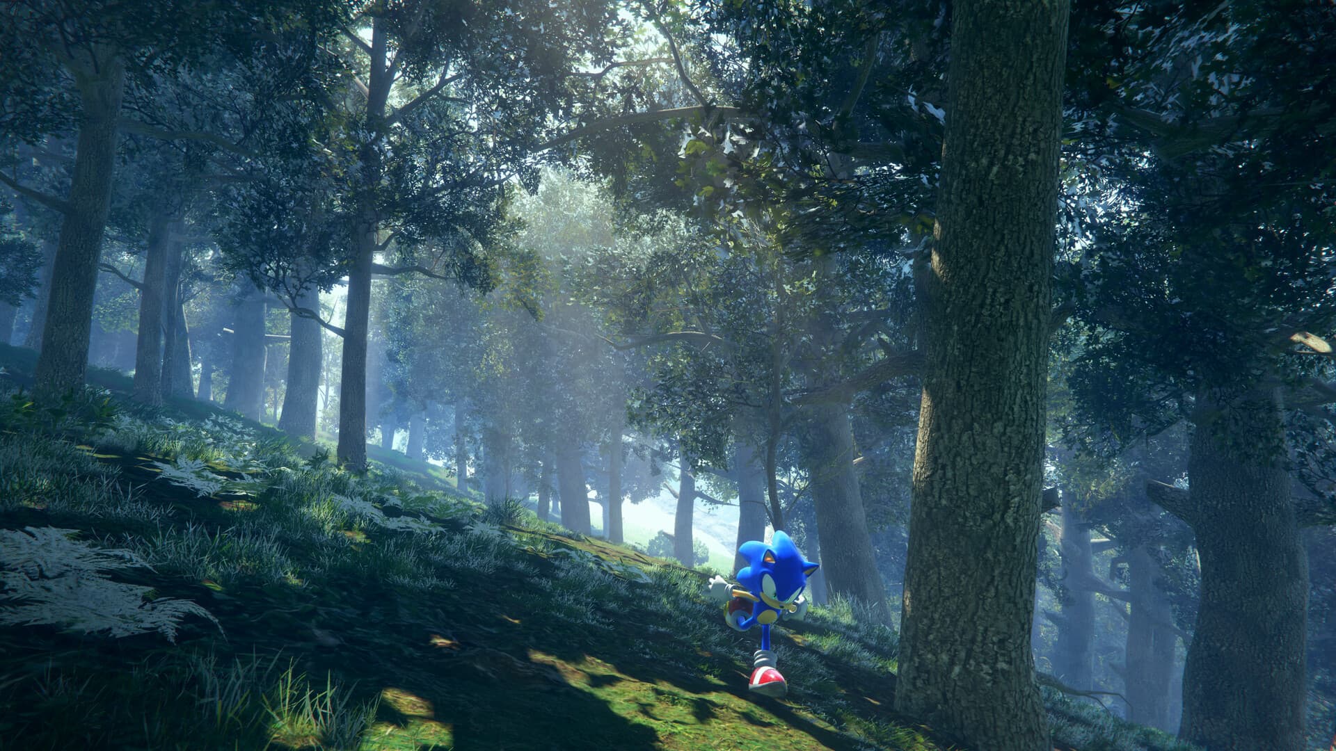 Sonic Frontiers Steam Account - 8