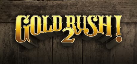 Gold Rush! 2 Steam CD Key