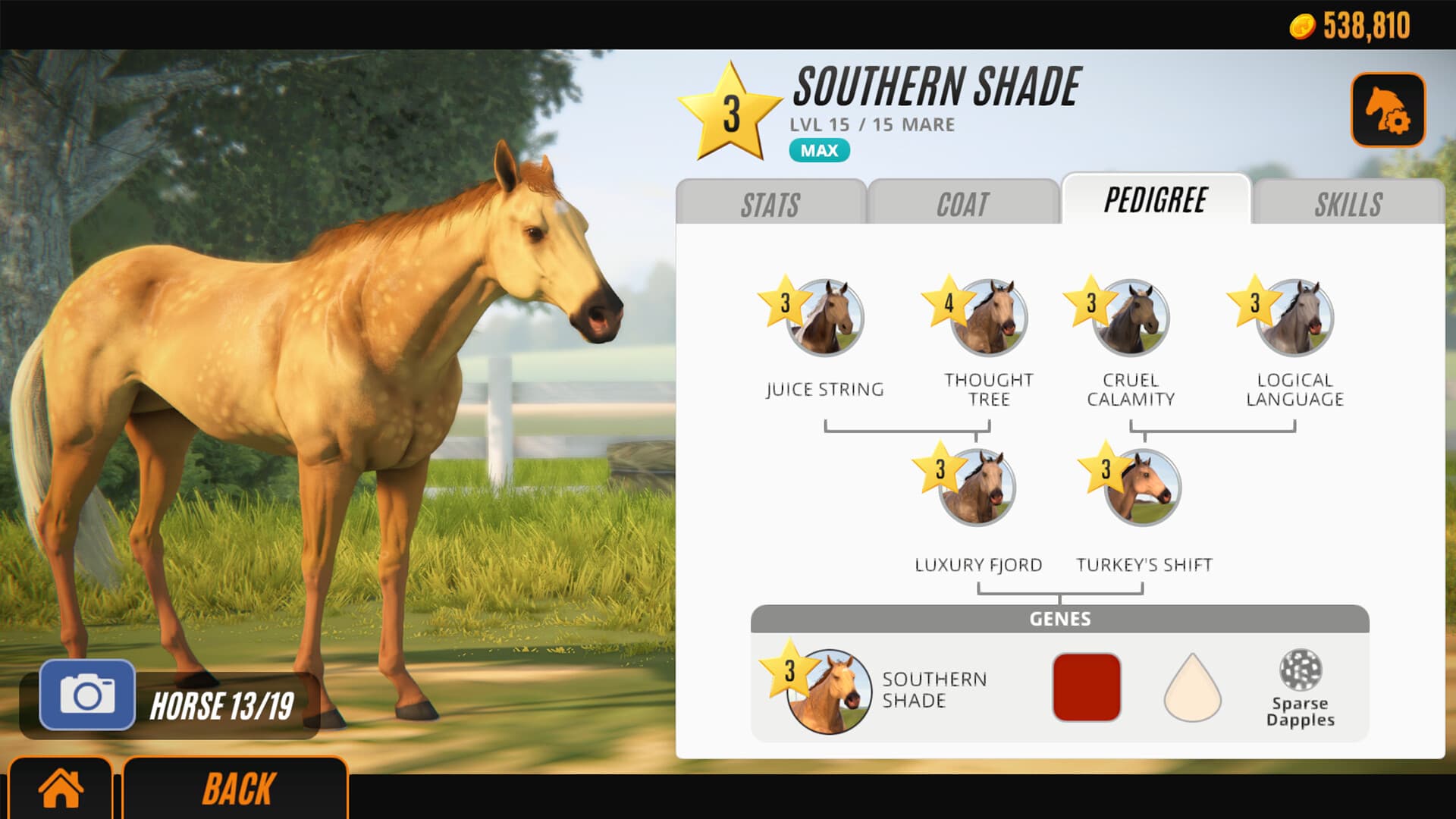 Rival Stars Horse Racing Steam Account  - 6